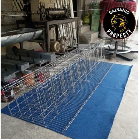 Kandang battry ayam petelur galvanis 10 pintu / kandang ayam petelur