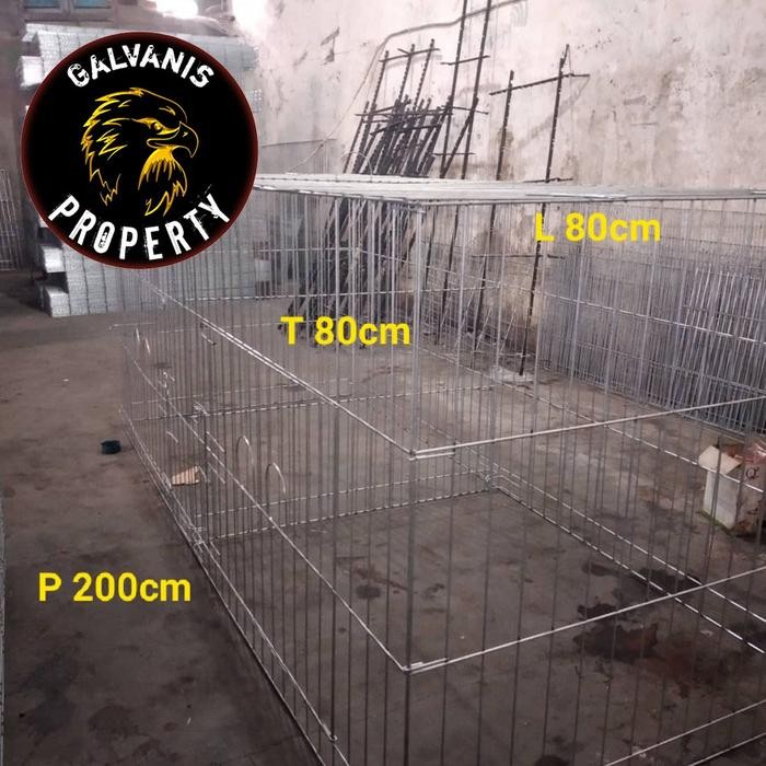 KURUNGAN UMBARAN AYAM JAGO BANGKOK panjang 2 meter BAHAN BESI GALVANIS