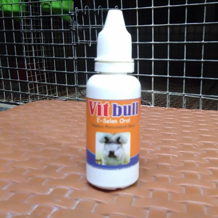 Vitamin Bulu Kelinci Supplemen