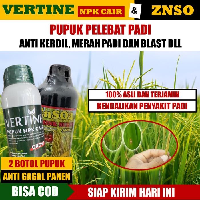 Meningkatkan Hasil Panen Padi dengan VERTINE & ZnSO4: Anti Blast, Merah Padi, dan Ulat Padi