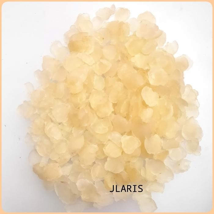 

Terbaru Biji Teratai Salju Snow Lotus Seed Grade A 100gr