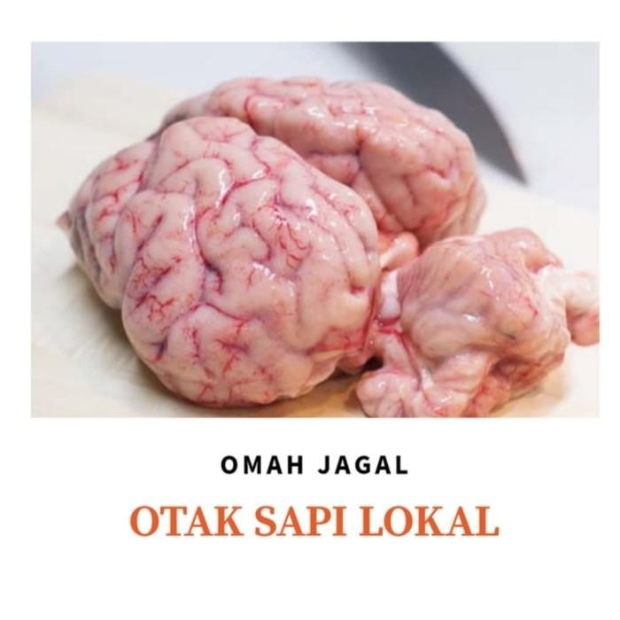 

(Expert) Otak Sapi