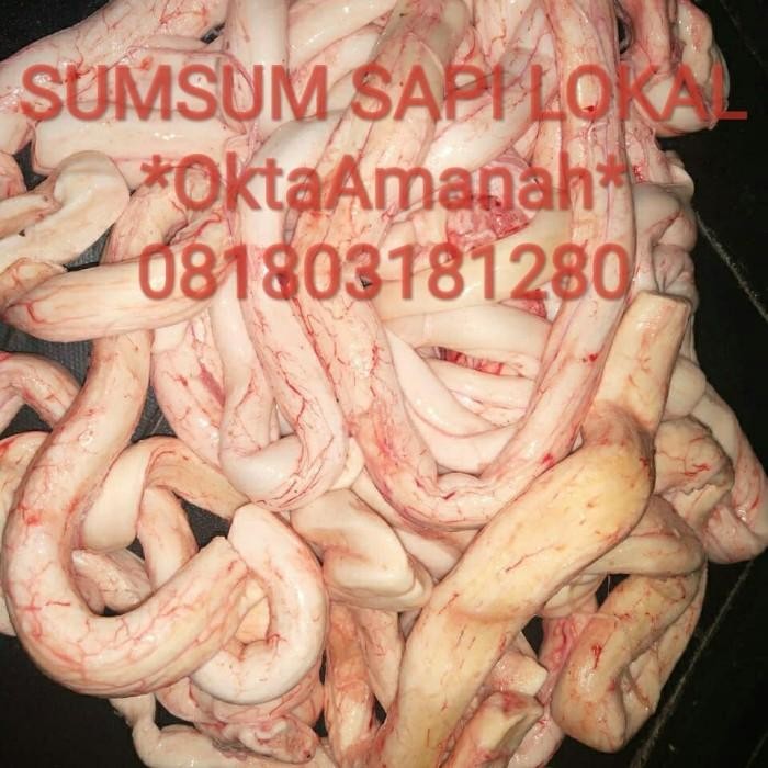 

(Expert) SumSum Sapi