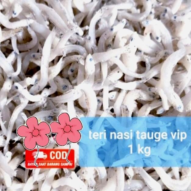 

(Expert) Teri Nasi Tauge Teri Toge Ukuran Besar 1kg