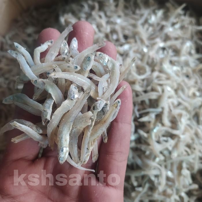 

Ikan Asin Teri Bontio Vip-500Gram