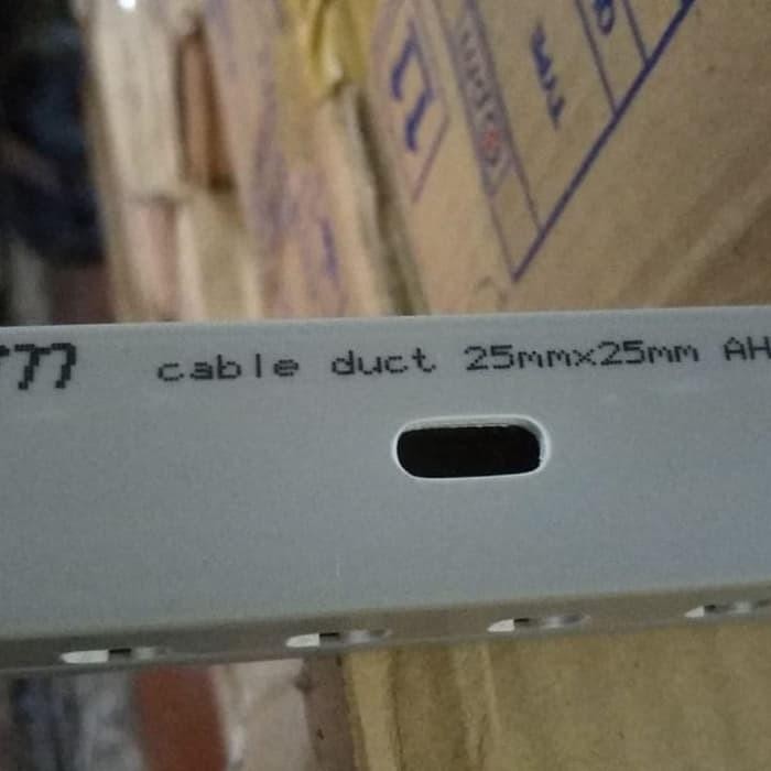 [Expert] Kabel Duct 25x25 / Wiring Duct / Ducting 25x25 LUBANG ABU-PM