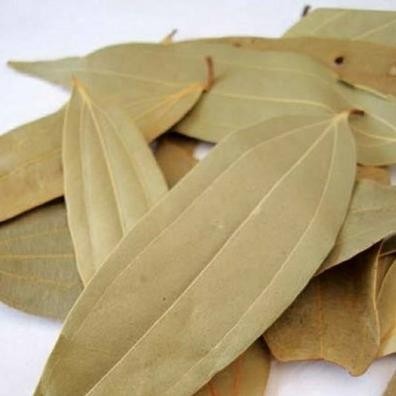 

PREMIUM Bay Leaf India / Tej Patta Indian Dry / Daun Salam Kari Kering 25 gr