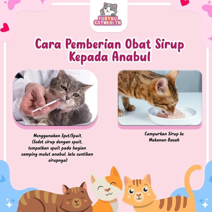 OBAT KUCING KERACUNAN TETANUS LUMPUH DAN KEJANG