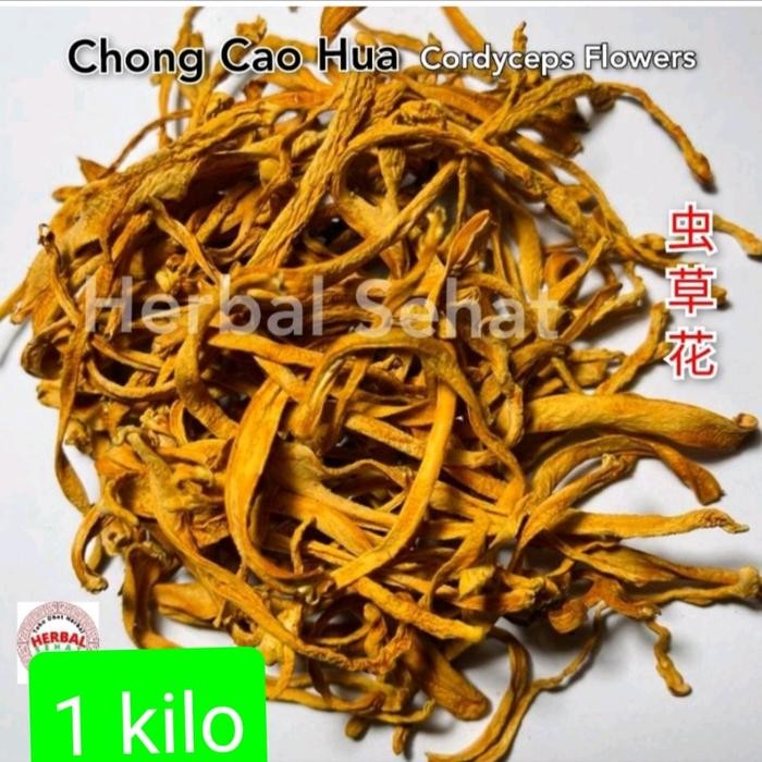 

Bunga Cordyceps 1kg / Chong Cao Hua / Chong Cao /Jamur Bunga