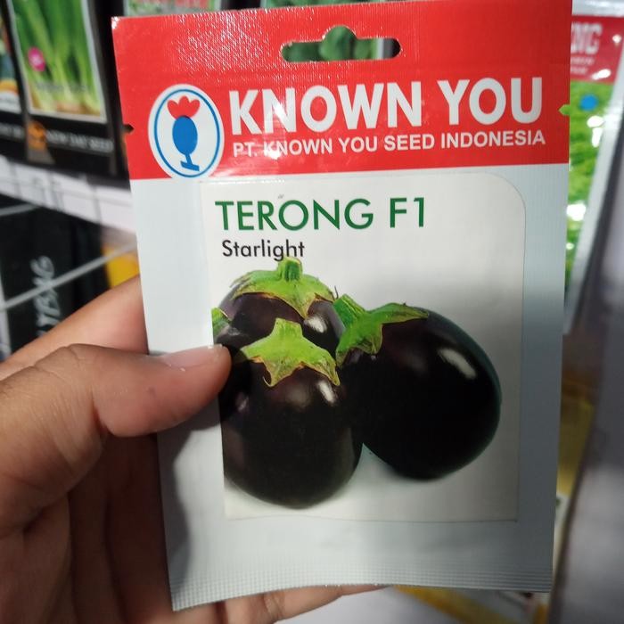 Benih Terong Starlight F1