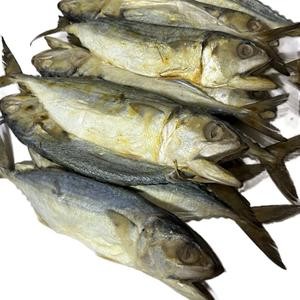 

PEDA ASIN Premium – Ikan Kembung Asin Siap Goreng & Gurih Banget