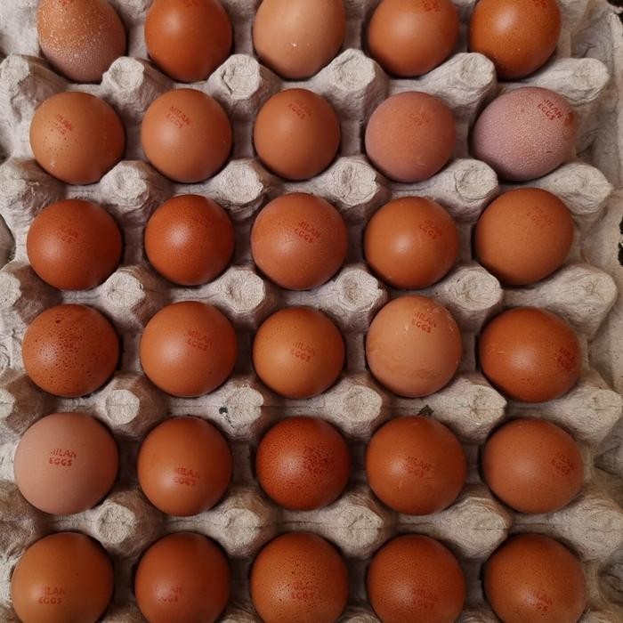 

Promo Telur Ayam Negri Omega 3 Fresh (30 Butir)/Tray size Kecil