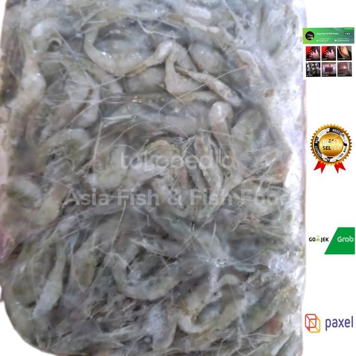 UDANG RAWA BEKU UDANG AIR TAWAR