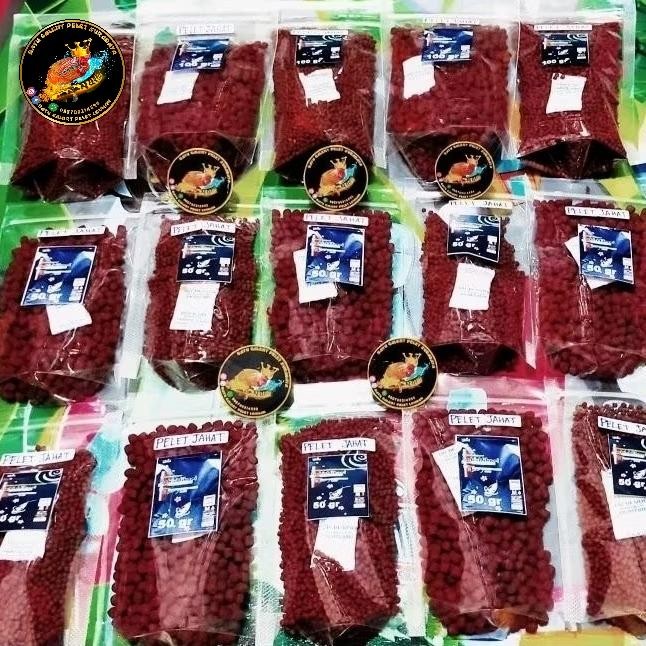 PELET JAHAT SPESIALIS CHANNA MARU CHANNA RED BARITO CHANNA AURANTI