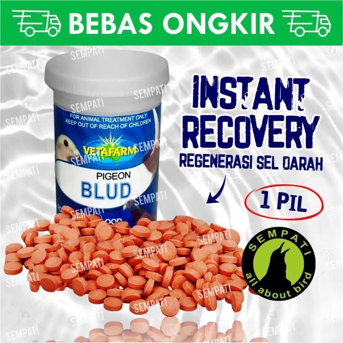 BLUD VETAFARM OBAT VITAMIN ANTIBIOTIK PENAMBAH SEL DARAH MERAH