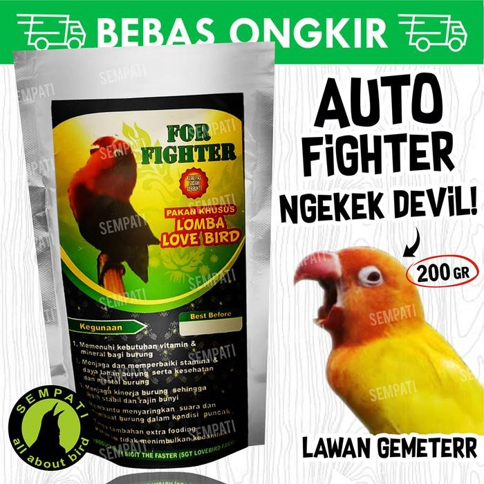 PAKAN BURUNG LOVEBIRD LOMBA FOR FIGHTER