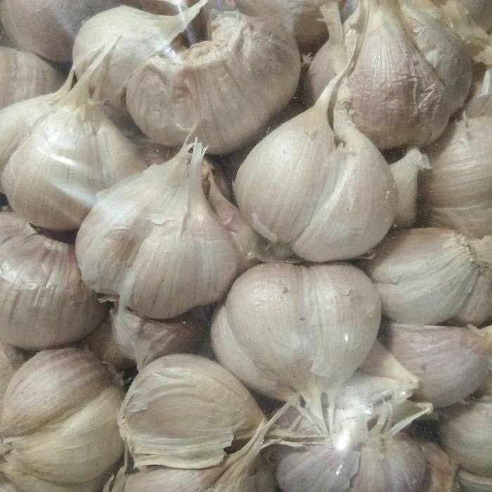 

New bawang putih kating