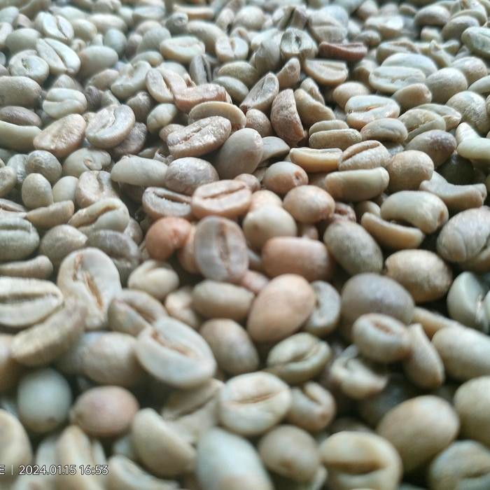 

GREEN BEAN ARABIKA NATURAL 1 KG ARABIKA NATURAL