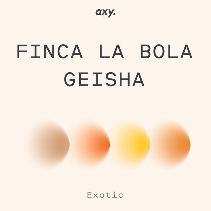 

GEISHA COFFEE WASHED - BIJI KOPI ARABIKA