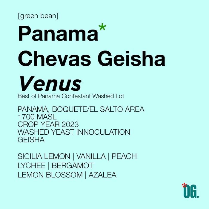 

PANAMA CHEVAS SERIES GEISHA GREEN BEANS