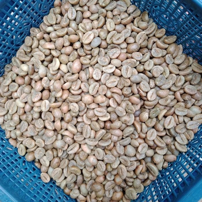 

GREENBEAN ROBUSTA DRY PROSES TEMANGGUNG GRADE 1