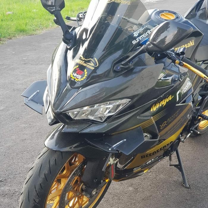 

Terlaris Wingside Winglet Downforce New Ninja 250 Fi - All New Ninja