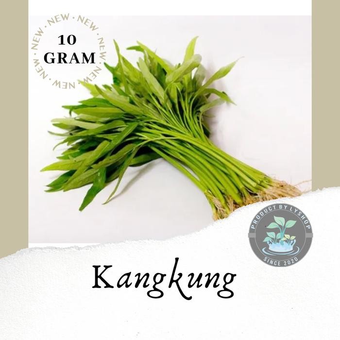 Benih Bibit Kangkung Super Repack / bibit sayur hidroponik