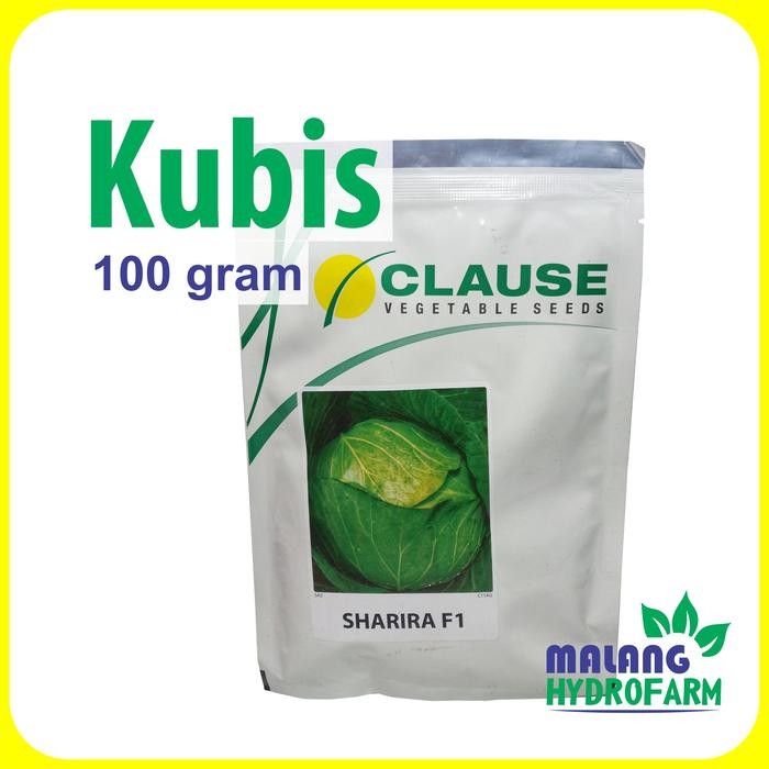 Benih Kubis Sharira F1 100 gram Clause Indonesia dataran tinggi bibit gubis sayur unggul hidroponik