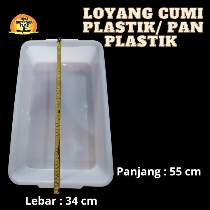 FROZEN PLASTIC TRAY/ LOYANG PLASTIK BAHAN TEBAL