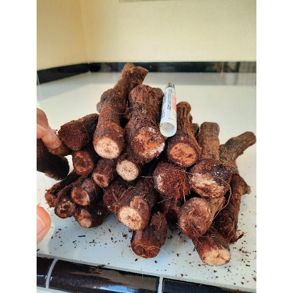 [Expert] Cutting Anggur SUper Besar KALUS