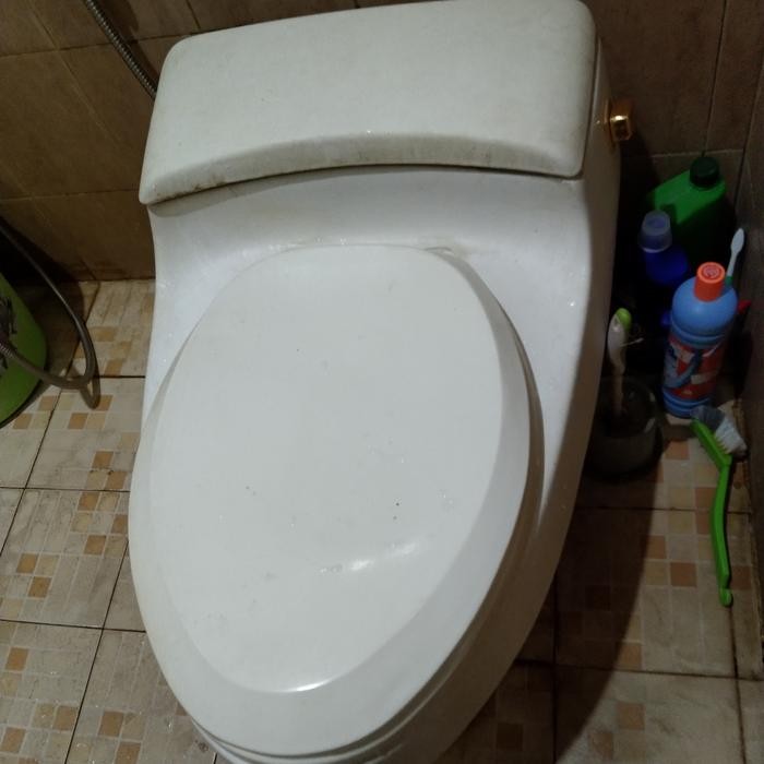 SPAREPART KLOSET KOHLER ALAT CLOSET PELAMPUNG BILAS KOMPLIT SPERPART