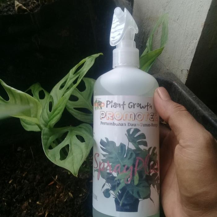 Plant Growth Pupuk Kembang/Bunga/aglonema /Tanaman hias
