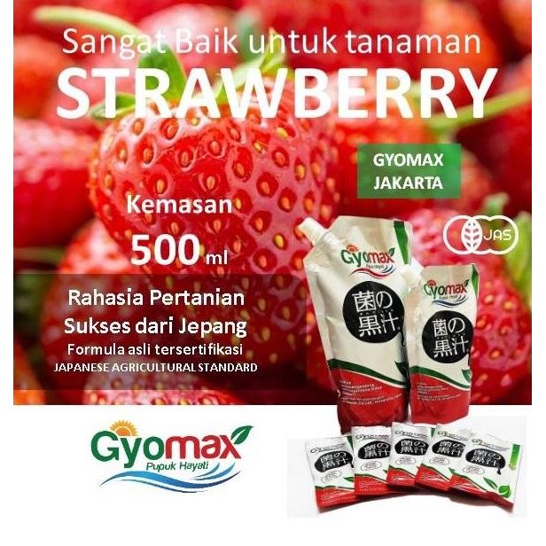 Pupuk Hayati Gyomax Cocok Untuk Tanaman Stawberry