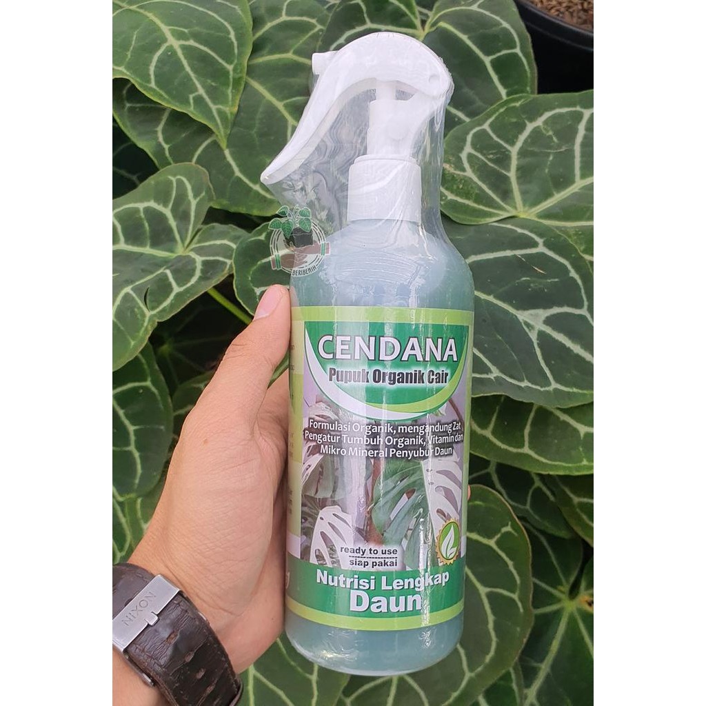 Pupuk Tanaman Cair Organik Cendana Daun Tanaman Hias Spray Siap Pakai