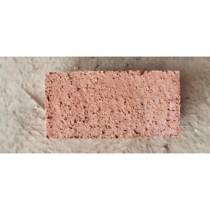 ald BATA MERAH JUMBO OVEN SUPREME HIGH QUALITY GRADE AAA