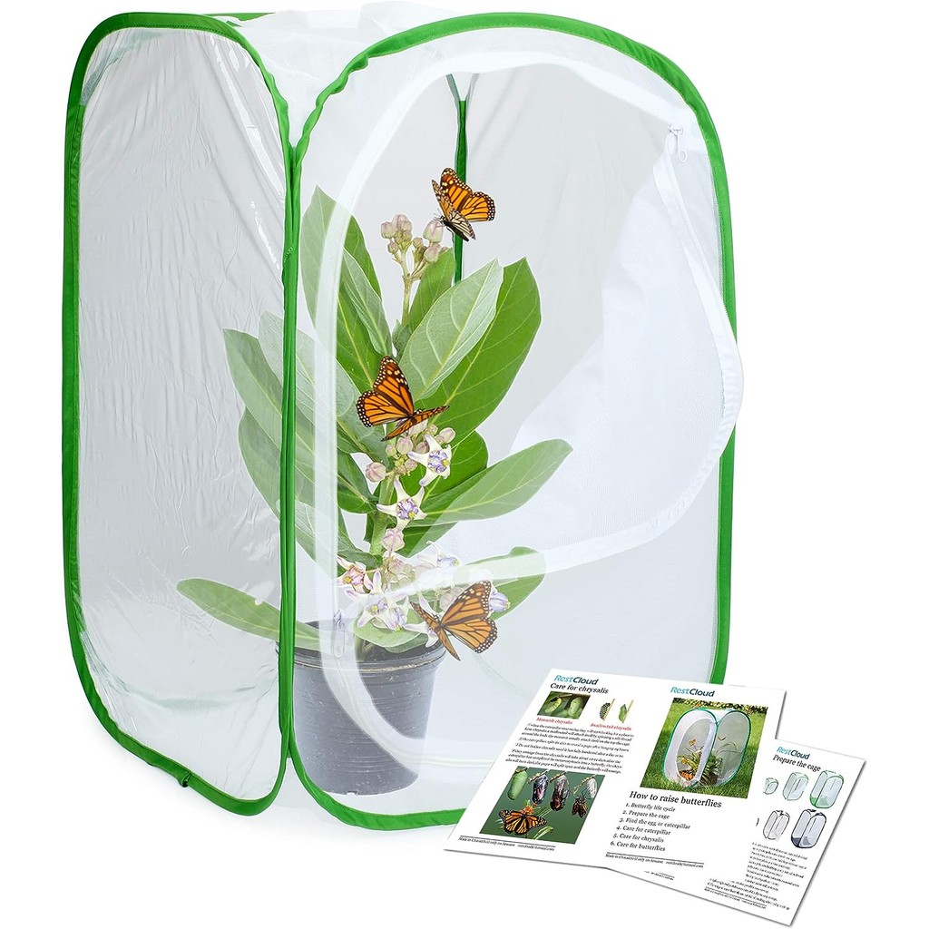 Foldable Insect and Butterfly Terrarium, Pop-up Collection, Mesh Breeding Cage, Plant Seedling Culti