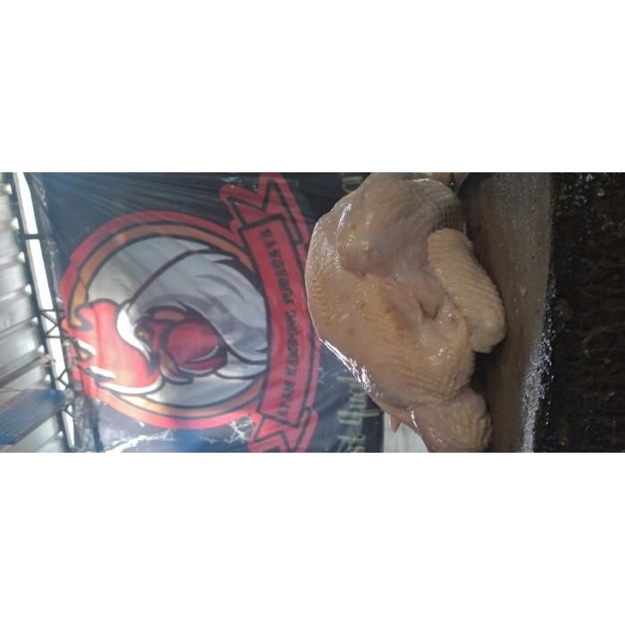 

(Expert) AYAM KAMPUNG 720 - 760 gr (Paket Silver)