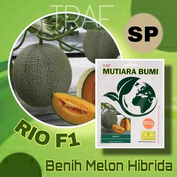 

(Expert) BENIH MELON HIBRIDA RIO F1 ISI 25 BUTIR BENIH CAP MUTIARA BUMI