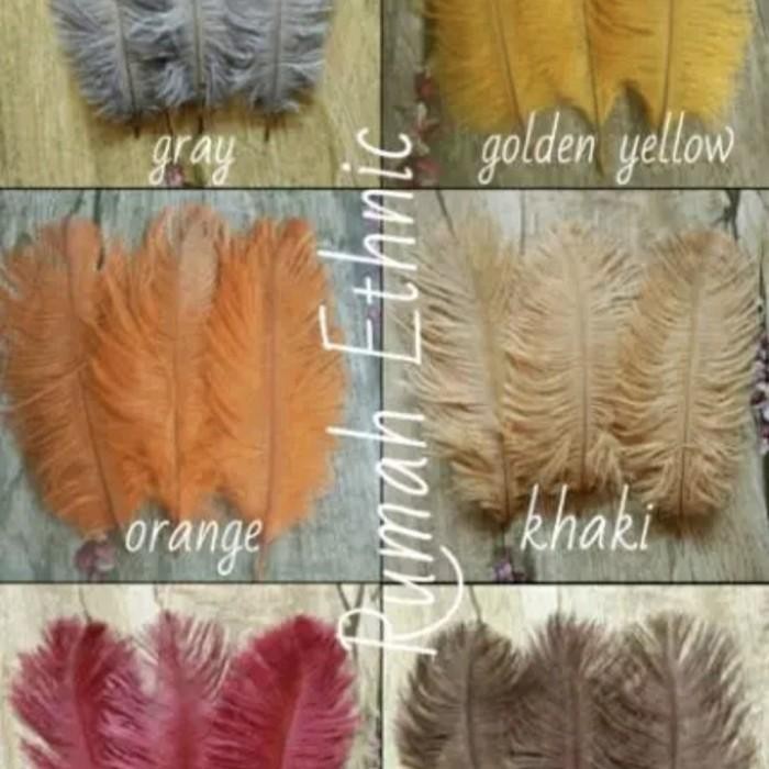 

(Expert) Bulu Kasuari Kecil. Feathers Ostrich