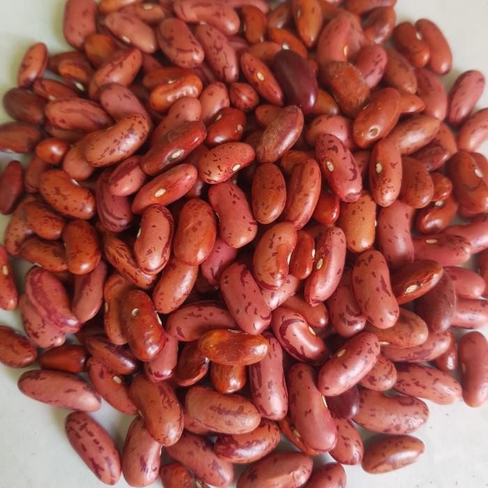 

(Expert) KACANG MERAH LOKAL SUPER 1 KG