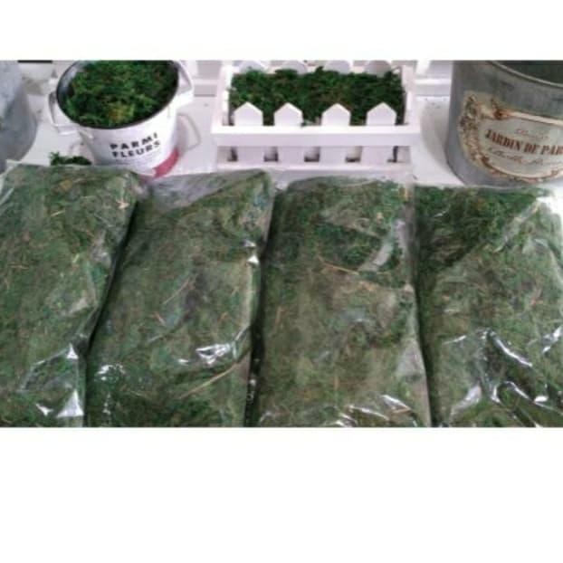 lumut kering rumput kering green moss dekorasi