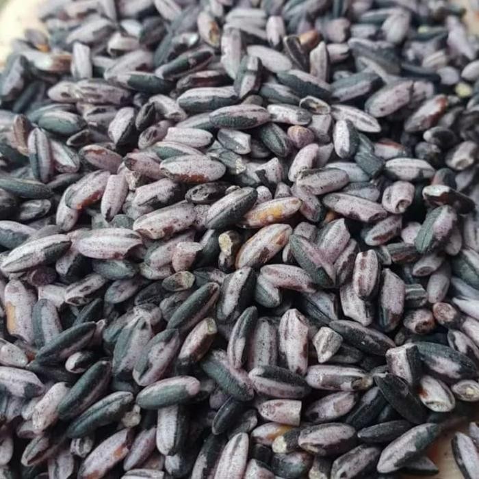 

Beras Ketan Hitam Soso