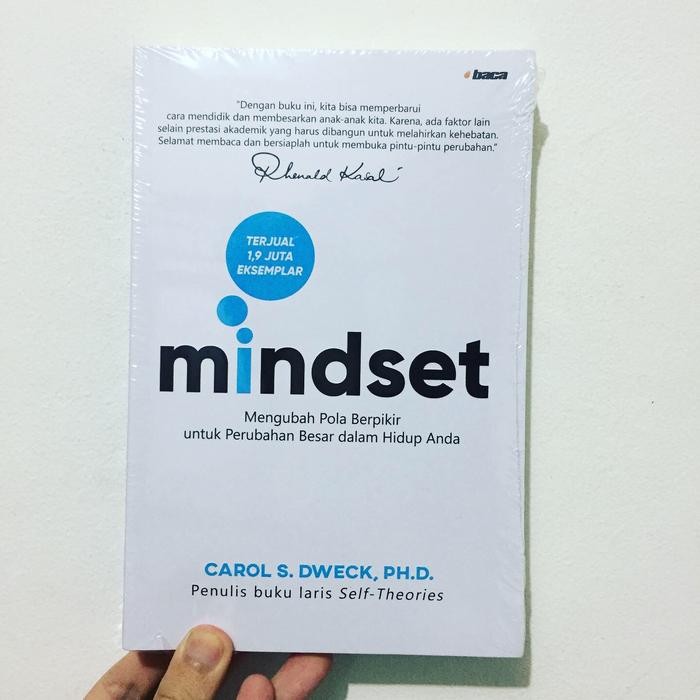 

MINDSET - CAROL S DWECK