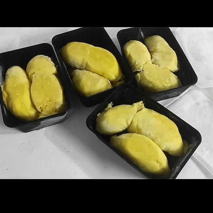 

Glx buah durian palu montong kupas duren montong daging Sulawesi bangkok