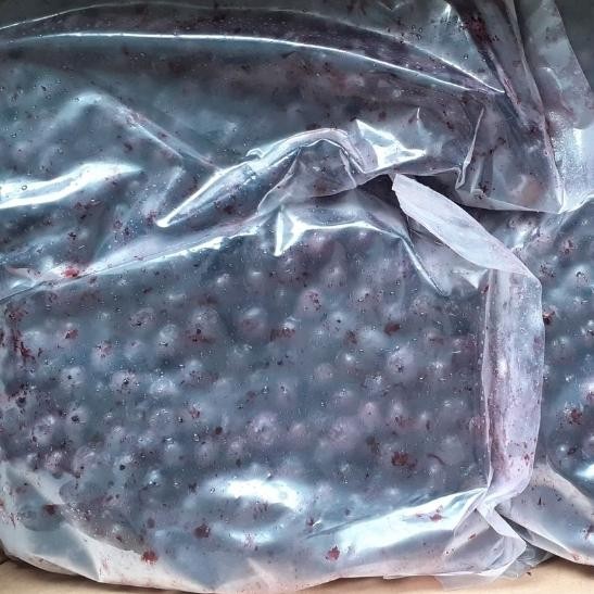 

Glx Frozen Fruit Blueberries Buah Blueberry Beku