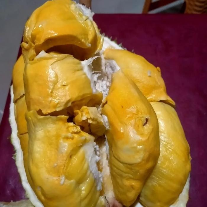 Glx Durian Utuh Bawor Asli Kuning Legit Manis