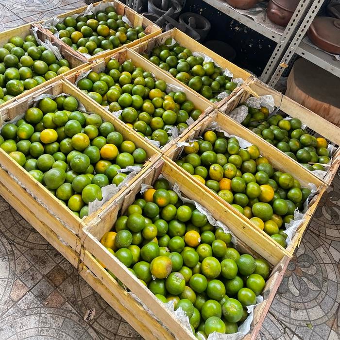 

Glx Jeruk Peras Siam Madu Malang