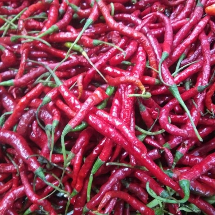 

Glx CABE MERAH Keriting