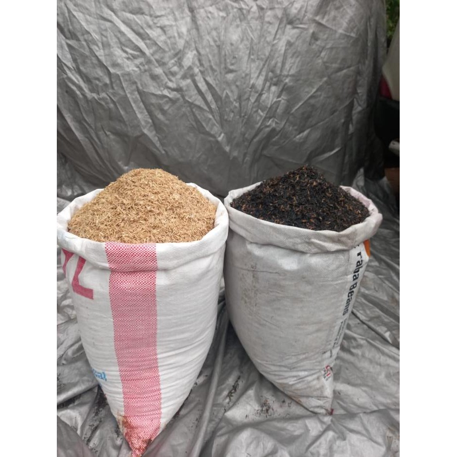 SEKAM PESAK PADI MENTAH & SEKAM BAKAR KARUNGAN