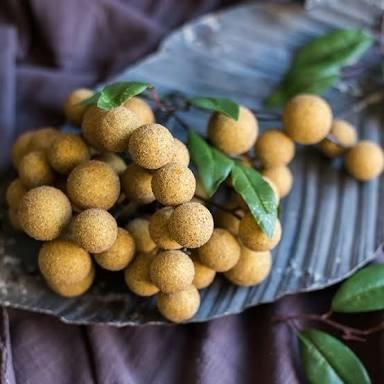 Buah hias/buah palsu/buah artificial/buah plastik/hiasan buah/lengkeng